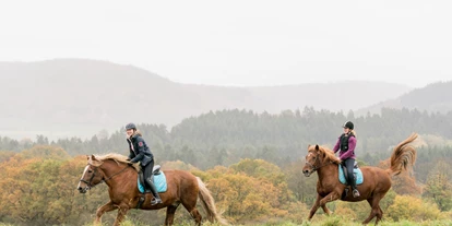 Mountainbike Urlaub - Hotel-Schwerpunkt: Mountainbike & Wandern - Finnpferde, eigenes Gestüt - Hotel Freund