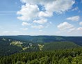 Mountainbikehotel: Aussicht aus dem AHORN Panorama Hotel Oberhof auf den Thüringer Wald. - AHORN Panorama Hotel Oberhof