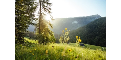 Mountainbike Urlaub - Umgebungsschwerpunkt: See - Almsommer in Hintersee  - DAS Hintersee