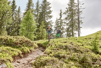 Mountainbikehotel: Mountainbike-Trail - @pedagrafie - Arena Franz Ferdinand Nassfeld