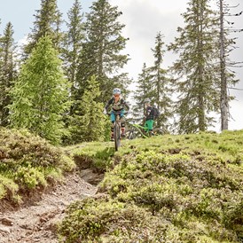 Mountainbikehotel: Mountainbike-Trail - @pedagrafie - Arena Franz Ferdinand Nassfeld